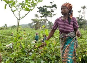 Aménagements et équipements agricoles